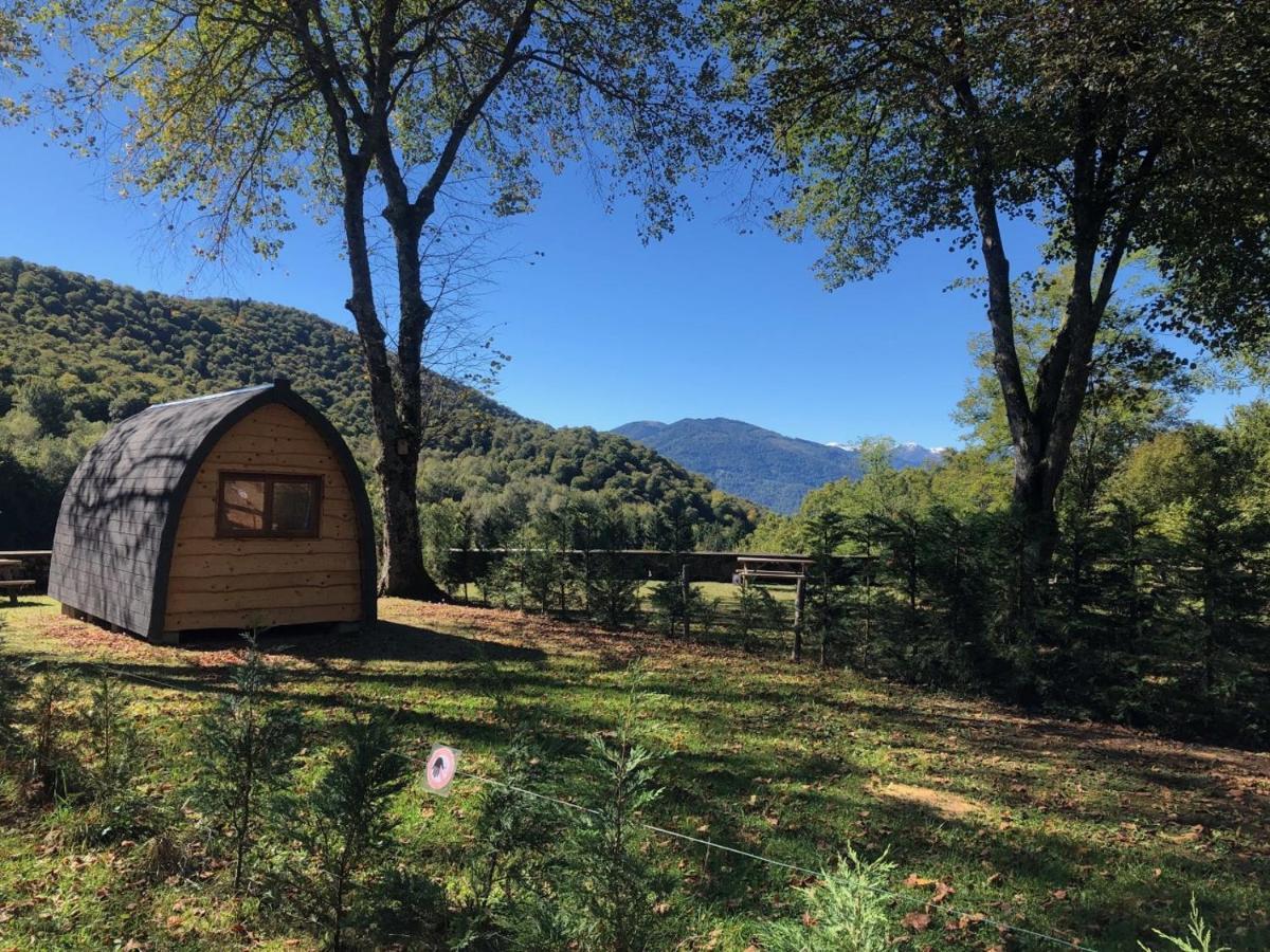 Pyrenees Emotions, Eco-Responsables, Nature, Sports Aventures Malvezie ภายนอก รูปภาพ